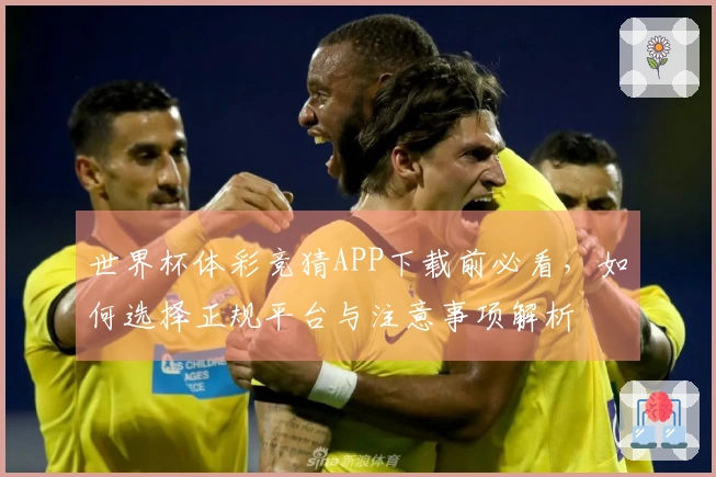 世界杯体彩竞猜APP下载前必看，如何选择正规平台与注意事项解析