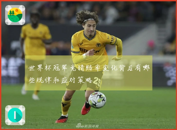 世界杯冠军竞猜赔率变化背后有哪些规律和应对策略