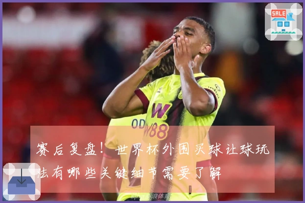 赛后复盘！世界杯外围买球让球玩法有哪些关键细节需要了解