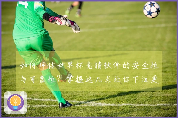 如何评估世界杯竞猜软件的安全性与可靠性？掌握这几点让你下注更安心